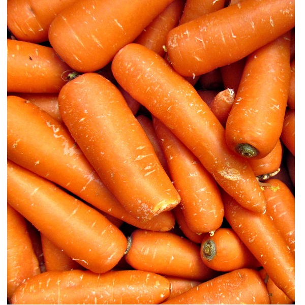 Carrots Juicing Organically Grown