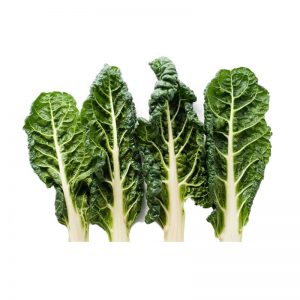 Silverbeet