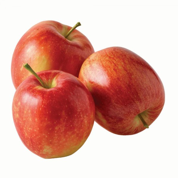 Apple Gala Organically Grown