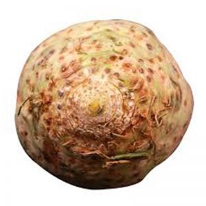 Celeriac Big
