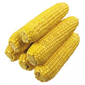Corn x 2