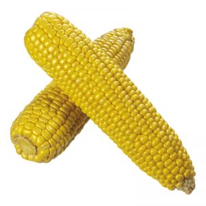 Corn