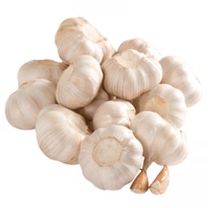 Garlic